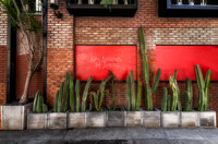 New Cover of L.A. Photos Folder