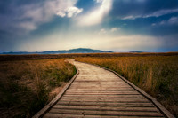 Antelope Island Path