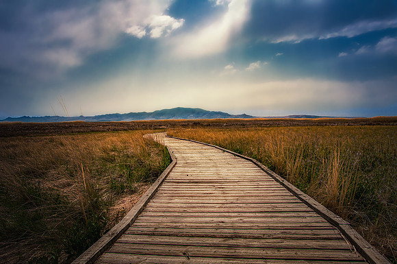 Antelope Island Path