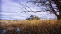 Colorado Barn