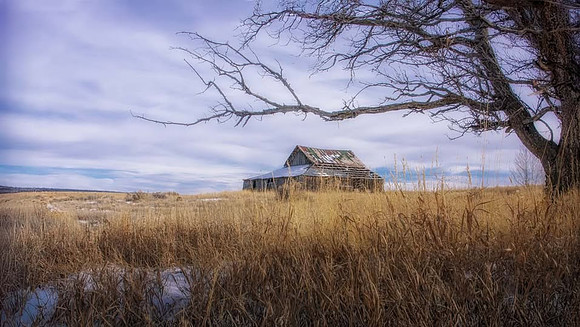 Colorado Barn