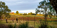 Wine Country