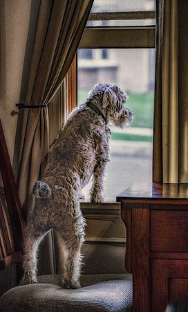 Checking Out the Neighborhood