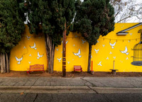 School Wall