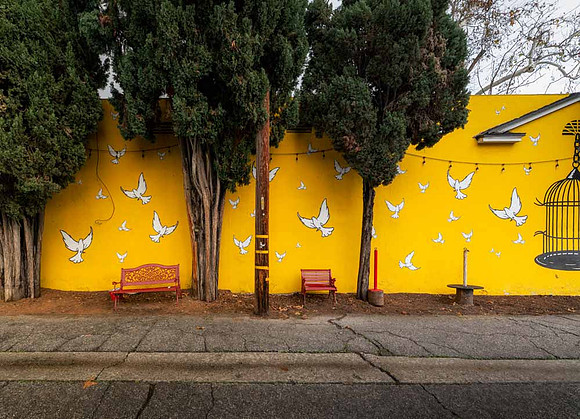 School Wall
